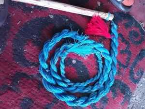 Bici tradițional românesc la Patrik și la Andreea