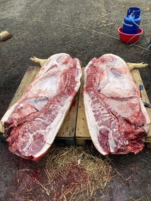 Carcasa porc. De țară 20 lei kg - imagine 2