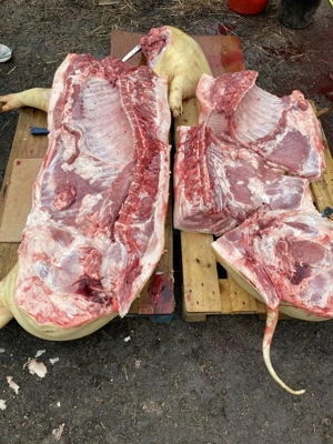 Carcasa porc. De țară 20 lei kg - imagine 5