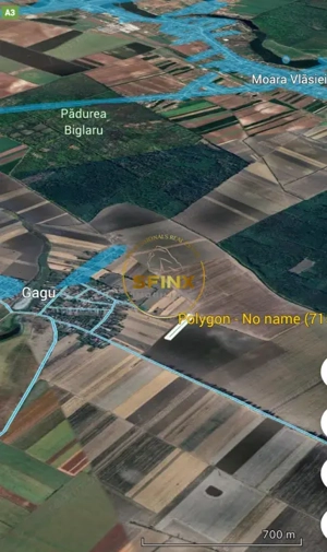 Teren extravilan de vanzare – Moara Vlasiei, Gagu, Ilfov – 7.151 mp - imagine 4
