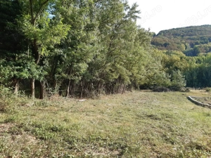 De vanzare teren 11500 mp partial intravilan - imagine 4