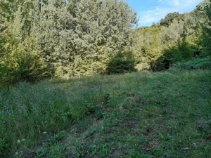 De vanzare teren 11500 mp partial intravilan - imagine 3