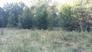 De vanzare teren 11500 mp partial intravilan - imagine 6