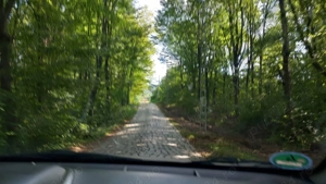 De vanzare teren 11500 mp partial intravilan - imagine 8