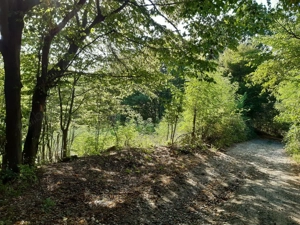 De vanzare teren 11500 mp partial intravilan - imagine 10