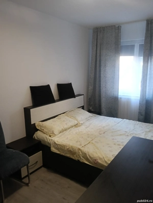 apartamnent Craiovița regim hotelier - imagine 3