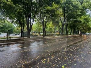 Vânzare Casă cu aplasare Strategică - Copou - Parcul Expoziției - imagine 17