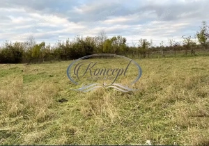 Teren in curs de autorizare in Faget - imagine 8