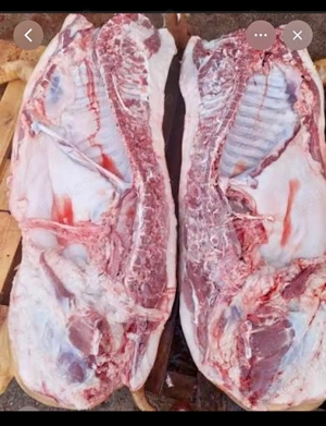 Vand carne de porc  - imagine 2