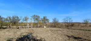 Vand teren întravilan, pentru casa,  în sat Varnita - imagine 5