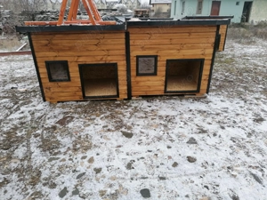 Cusca caine izolata   1200x1500x1200H - imagine 2