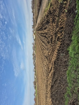 Teren de vânzare Braila Chiscani - imagine 3