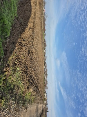 Teren de vânzare Braila Chiscani - imagine 4