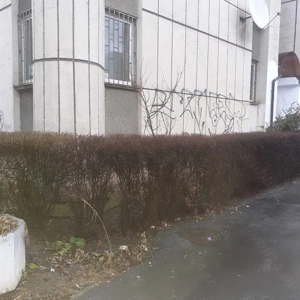 Vand spatiu birouri  - imagine 5