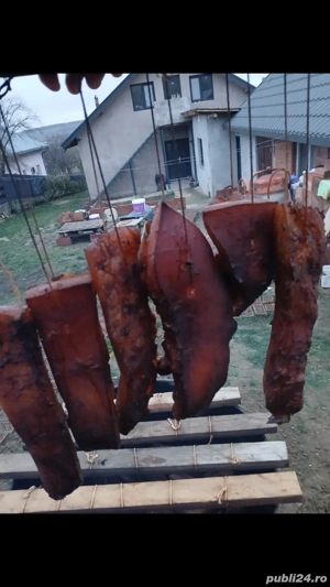 Vand porci! - imagine 3