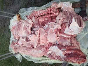 Porci crescuti in gospodarie de vanzare  - imagine 4