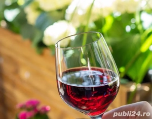 Vând vin natural alb, roșu și roze