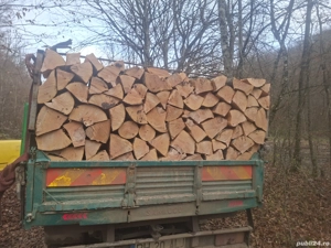 vând lemne de foc esență tare cer,fag,carpen,stejar cantitate garantata  transport gratuit  lemnele 