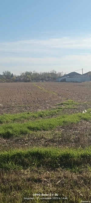 Vand loturi teren intravilan in com Singureni  - imagine 6