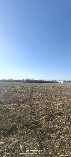 Vand loturi teren intravilan in com Singureni  - imagine 2