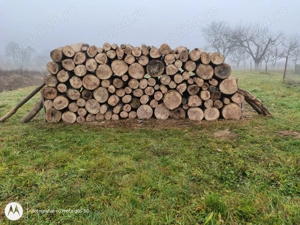 Vand lemne uscate de foc