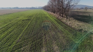 Teren extravilan cu potențial ridicat rezidential/industrial | Hărman - imagine 8