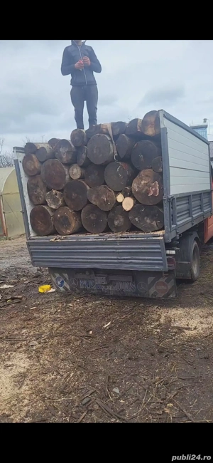 lemne de foc uscate! STOC LIMITAT!!