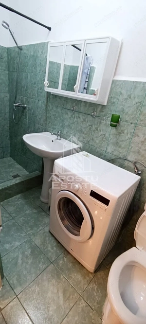 Apartament 2 camere la casa, centrala proprie, zona Iosefin. - imagine 10