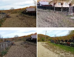 Teren intravilan- Com. Calinesti, jud. Arges - imagine 7