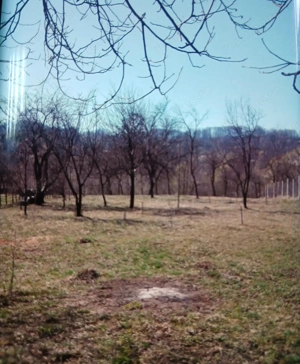 Vand teren intravilan - imagine 2