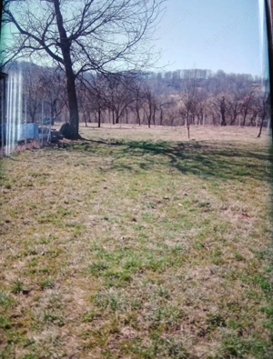 Vand teren intravilan - imagine 5