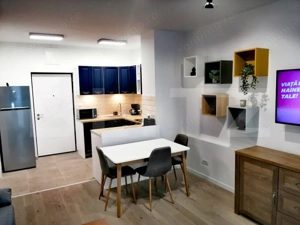 Apartament 2 camere,  parcare subterana, complex Record Park, pet friendly  - imagine 9