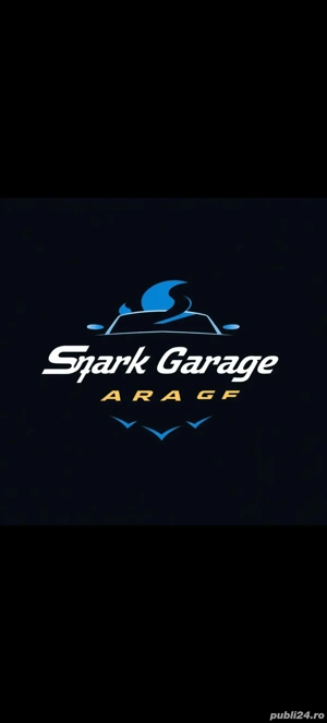 Detailing interior, zona alba iulia