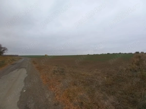 Teren de vanzare in Valu Lui Traian, Cartierul Nou - 403 mp