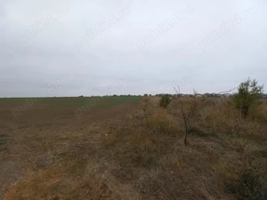 Teren de vanzare in Valu Lui Traian, Cartierul Nou - 403 mp - imagine 2