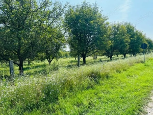 Vânzare teren situat în Târgu Jiu, Calea Tismanei - la DN 67 D - imagine 3