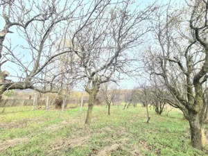 Vânzare casă cu teren generos, în centrul comunei Mușetești - imagine 9