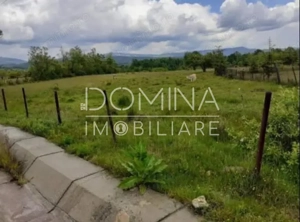 Vanzare teren 5000 mp, intravilan+extravilan, in comuna Crasna 