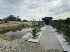 Vânzare spațiu comercial cu teren 1.077 mp, la doar 50 m de DN 67 – Câlnic - imagine 9