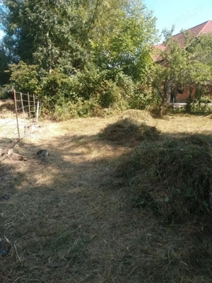 Vind teren in Breaza Prahova 1000 metri pătrați  - imagine 2