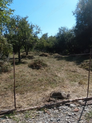 Vind teren in Breaza Prahova 1000 metri pătrați  - imagine 3