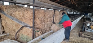 Vând 200 baloți fân - imagine 2