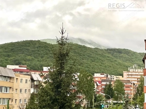 Apartament 2 camere | decomandat | Racadau - imagine 13