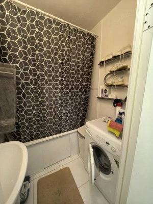 Apartament cu 2 camere de inchiriat in zona Elisabetin - imagine 4