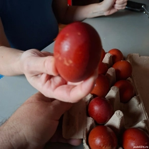 Gaini Marans  - imagine 5