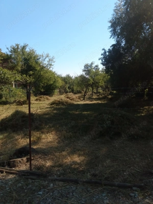 Vind teren in Breaza Prahova 1000 metri pătrați  - imagine 4