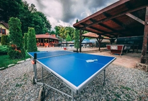 Casa Family Valea Avrigului  - imagine 3