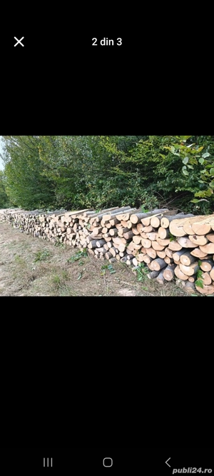 lemne de fag (esența tare) pentru foc