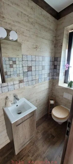 Casa premium, 350 mp si teren 722 mp, mobilata si utilata lux, in Brasov - imagine 12