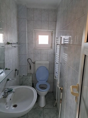 OFERTA in Băcia, Hunedoara ! Proprietate 2 case + Cabană + Livadă - imagine 11